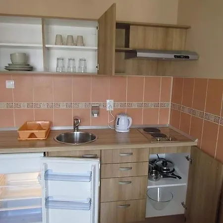 Luksuzni Mitic-mint Apartment