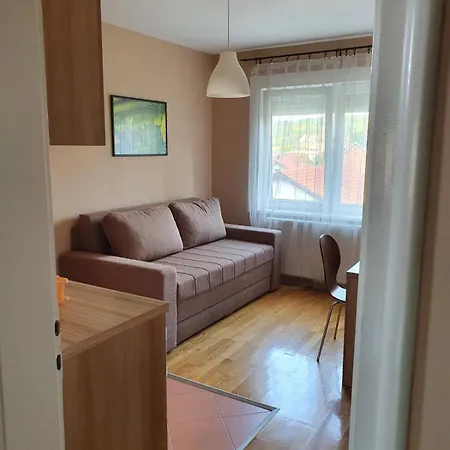 Luksuzni Mitic-mint Apartment
